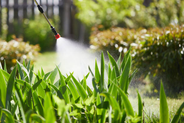 24/7 Emergency Termite Control experts in Cozad, NE